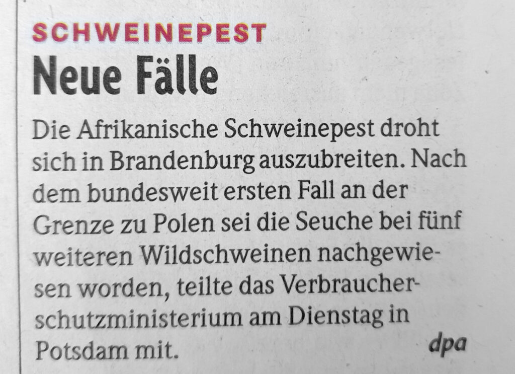 afrikanische-schweinpest-asp-zeitungsartikel